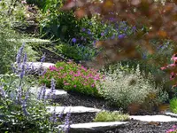 Garten + Rasen Jost AG - Klicken Sie, um das Bild 8 in einer Lightbox vergrössert darzustellen