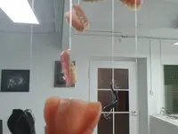 Dental Labor