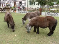 Gastwirtschaft zum Dornhof