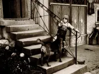 Soller Junghennen AG