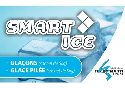 SMART ICE