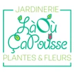 Là ou ça pousse