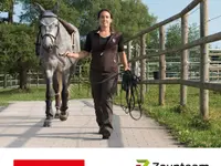 Zaunteam Berner Oberland
