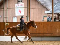 Reitsportzentrum St. Josefen AG - Klicken Sie, um das Bild 9 in einer Lightbox vergrössert darzustellen