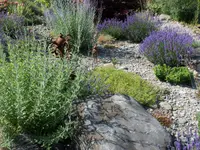 F & B Weibel Gartenbau Radelfingen