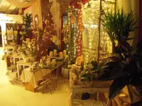 hollenstein blumengarten ag, Blumenshop, Gärtnerei, Gartenbau