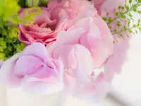 Blumen Vorderberg