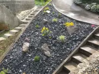 Baumann Gartenbau AG