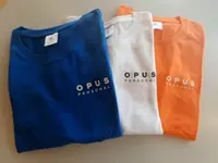 Opus Emploi SA