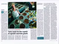 Giglia Giuseppe SA