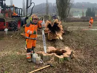 GUS AG - Klicken Sie, um das Bild 15 in einer Lightbox vergrössert darzustellen