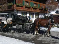 Kutscherei von Grünigen Johann - Klicken Sie, um das Bild 4 in einer Lightbox vergrössert darzustellen