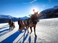 Clalüna-Sils Kutschenfahrten