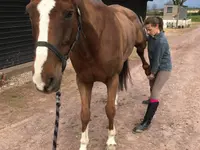 Luana EMINIC HUGO - L'ostéo animaux - Klicken Sie, um das Bild 9 in einer Lightbox vergrössert darzustellen