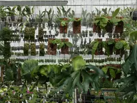 Orchidable di Andrea Martina