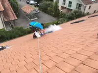 Partners Desinfection | Votre spécialiste en Nuisibles