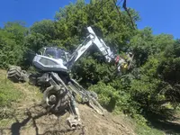 Passion Forêt SA