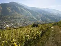 LENGEN Weine & Spirituosen AG