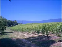 Domaine des Esserts - Klicken Sie, um das Bild 3 in einer Lightbox vergrössert darzustellen