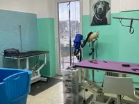 Sammy Toelettatura Pet Shop