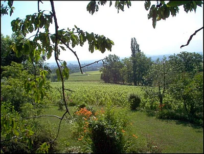 Domaine des Esserts