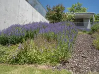 Emmenegger Garten- Tiefbau AG