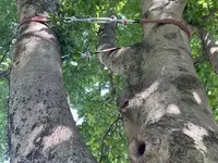 ihrbaum.ch - Klicken Sie, um das Bild 7 in einer Lightbox vergrössert darzustellen