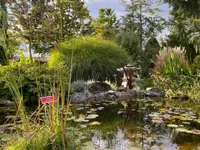 Kummer Gartenbau - Pflanzenoase