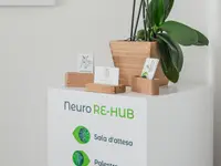 NeuroRE-HUB Locarno, di Francesca Estrada Daniele