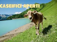 Azienda Agricola Rodoni Paolo