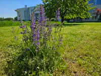 VINCENT ecopaysage