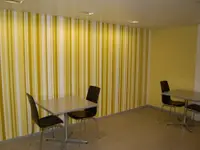 Maler Steinauer GmbH
