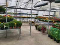 GIARDINI DOS SANTOS CANIÇO