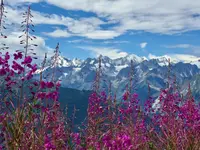 Verbier Language School - Klicken Sie, um das Bild 2 in einer Lightbox vergrössert darzustellen