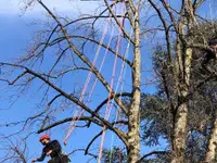 EQUILIBRE SOINS AUX ARBRES
