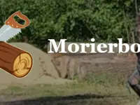 Morier Bois Sàrl