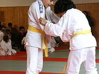 Judo Jiu-Jitsu Institut Sàrl