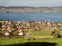 Stadt Wädenswil