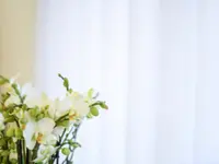 Perle de Vie