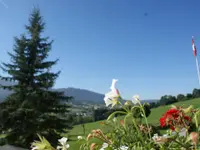 Le Tournesol - Klicken Sie, um das Bild 1 in einer Lightbox vergrössert darzustellen