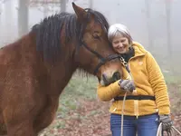 Schweizerische Herzstiftung