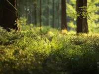 Le Trüf Innovation AG - Klicken Sie, um das Bild 1 in einer Lightbox vergrössert darzustellen