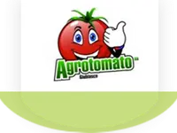 Agrotomato SA – Cliquez pour agrandir l’image 1 dans une Lightbox