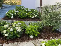 Heinigers Gartenteam GmbH