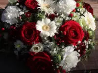 Blumen Specker