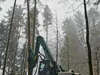 Woodex AG - Klicken Sie, um das Bild 4 in einer Lightbox vergrössert darzustellen