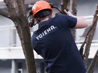 Ygiena SA