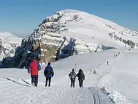 Beatenberg Tourismus - Klicken Sie, um das Bild 14 in einer Lightbox vergrössert darzustellen