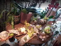 Mony's Blumenboutique