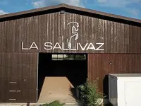 Manège de la Sallivaz & Poney club